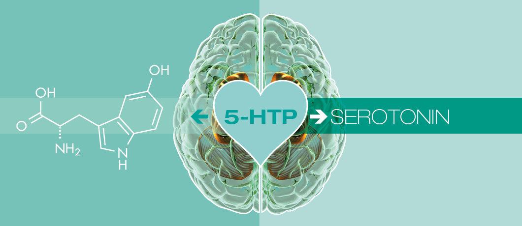 5-HTP: Beneficios, usos, dosis y efectos secundarios - Cibdol (2023)